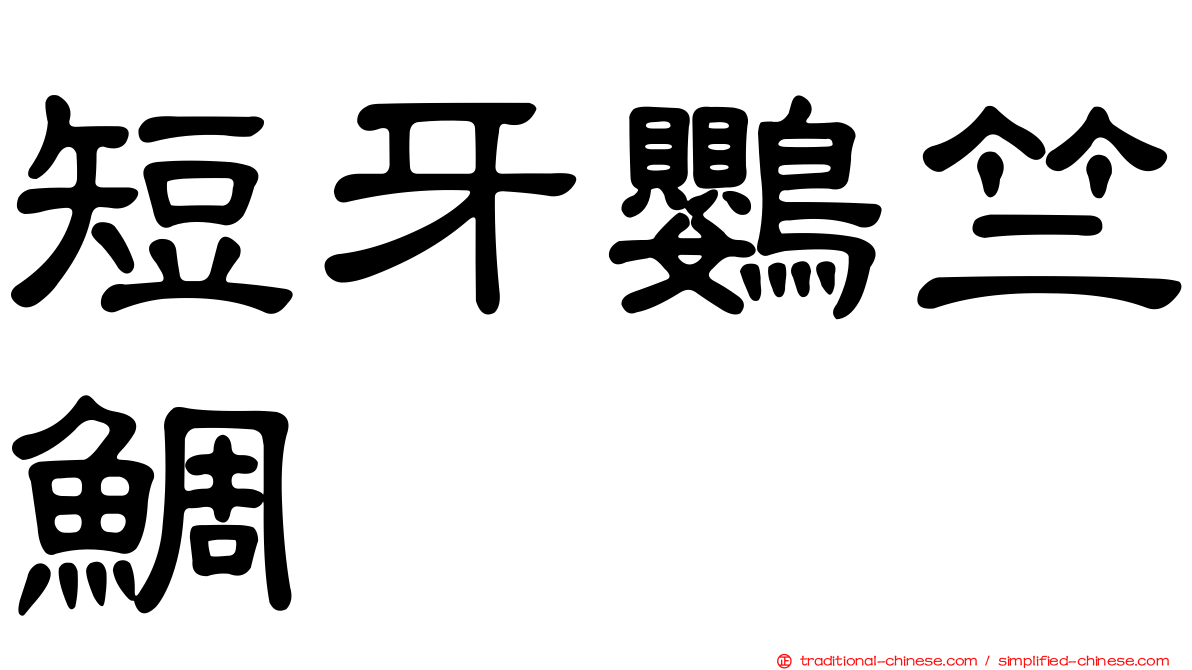 短牙鸚竺鯛