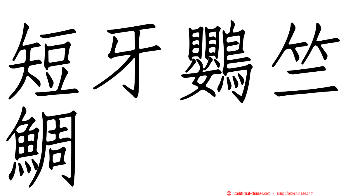 短牙鸚竺鯛