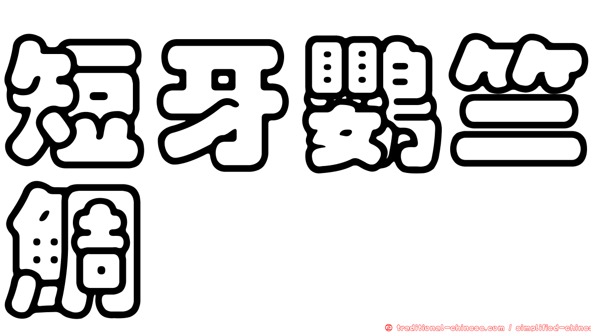 短牙鸚竺鯛