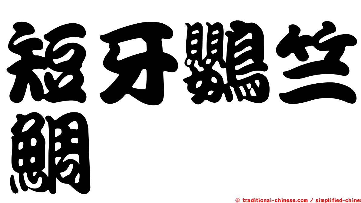 短牙鸚竺鯛