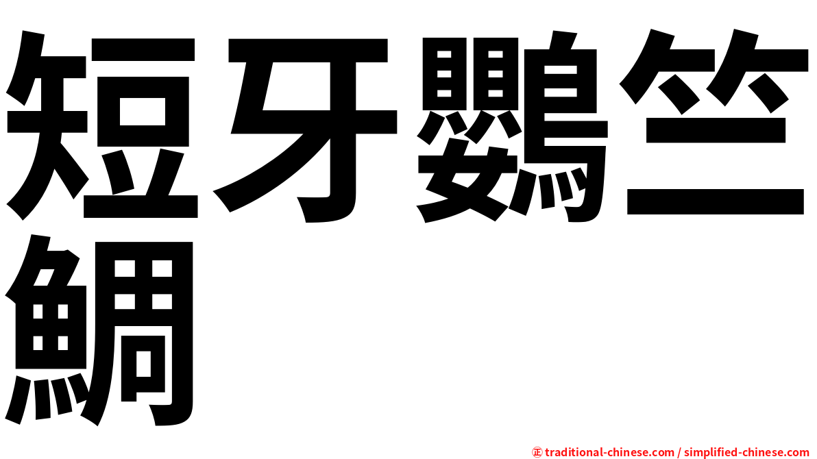 短牙鸚竺鯛