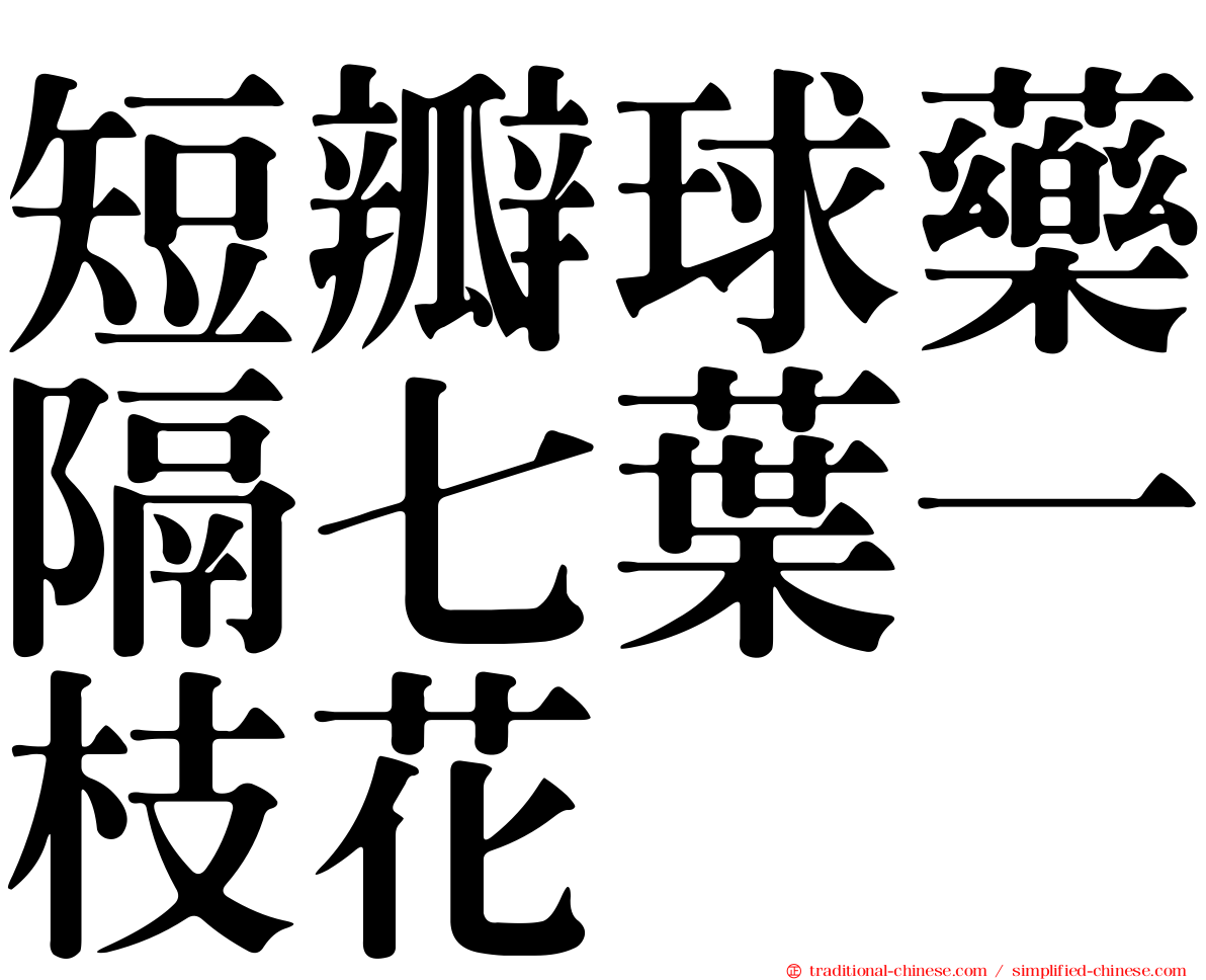 短瓣球藥隔七葉一枝花