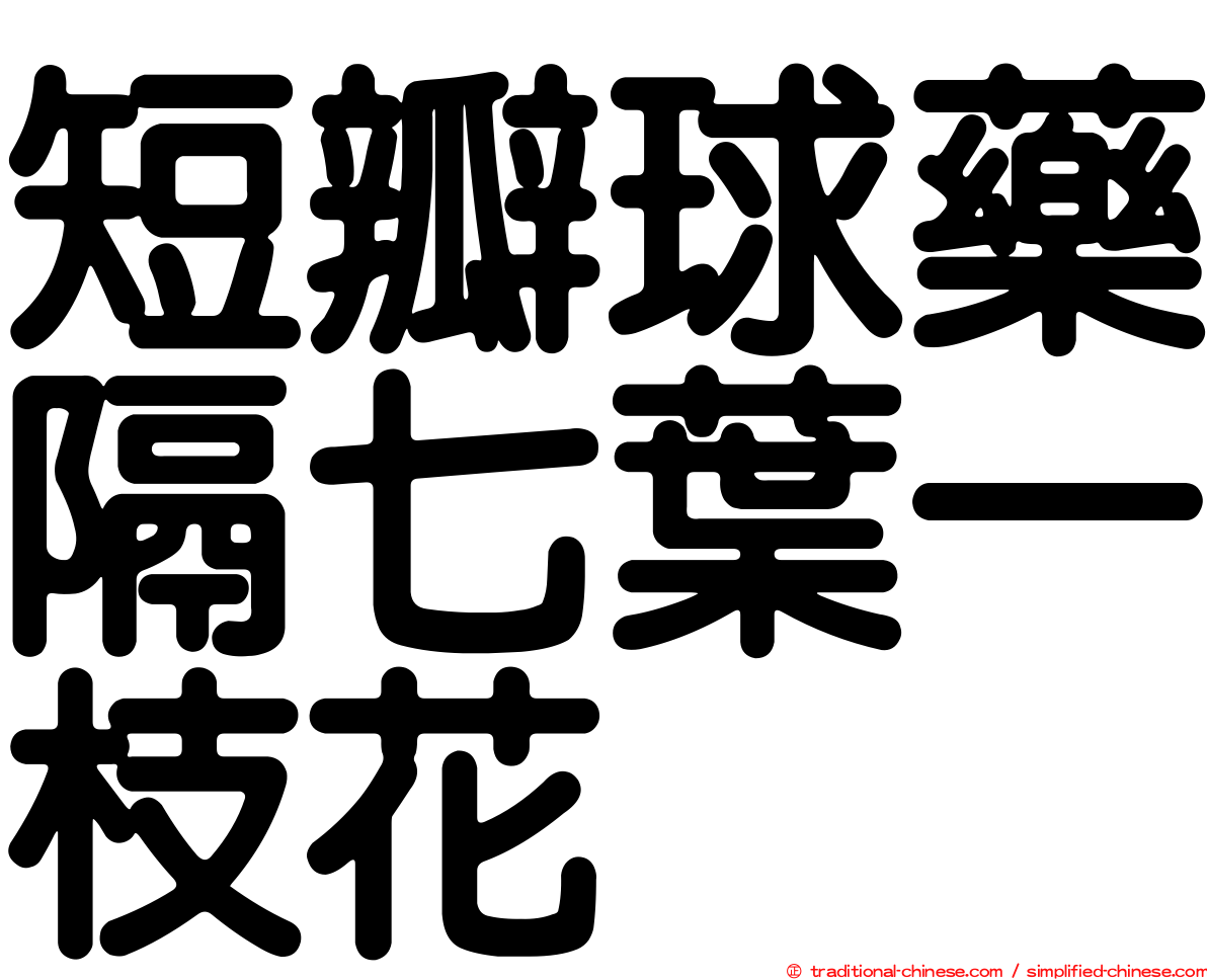 短瓣球藥隔七葉一枝花