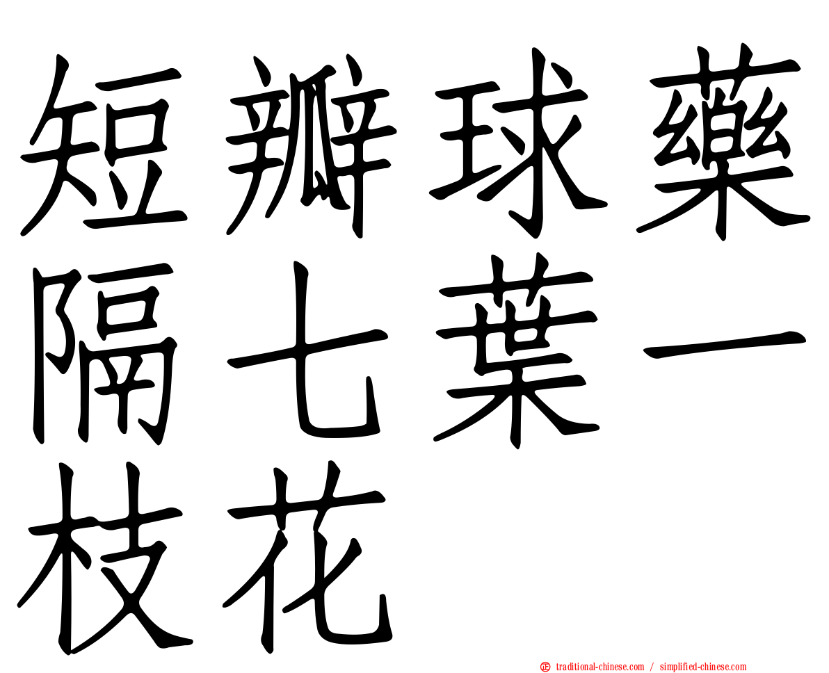 短瓣球藥隔七葉一枝花