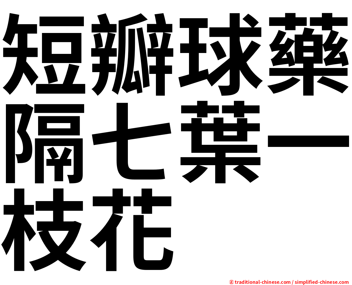 短瓣球藥隔七葉一枝花