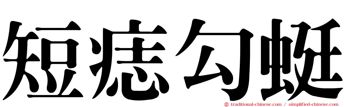 短痣勾蜓