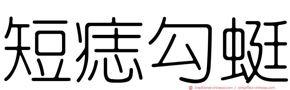 短痣勾蜓