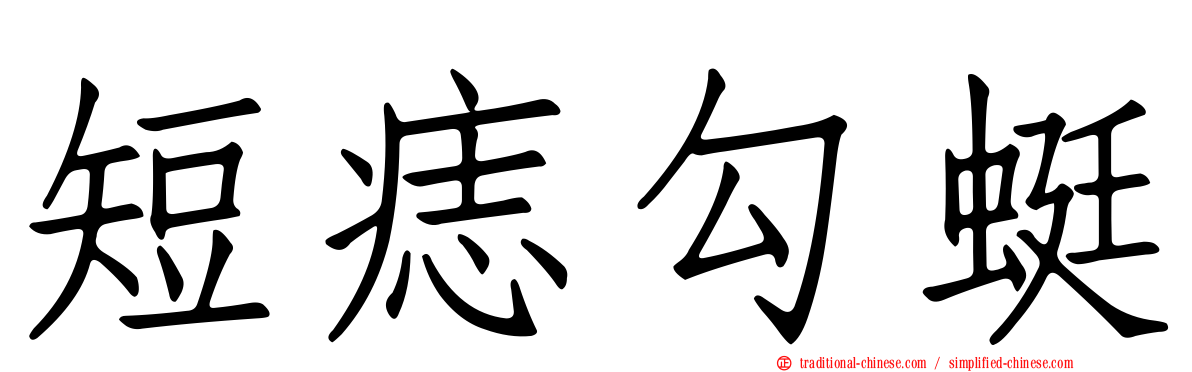 短痣勾蜓