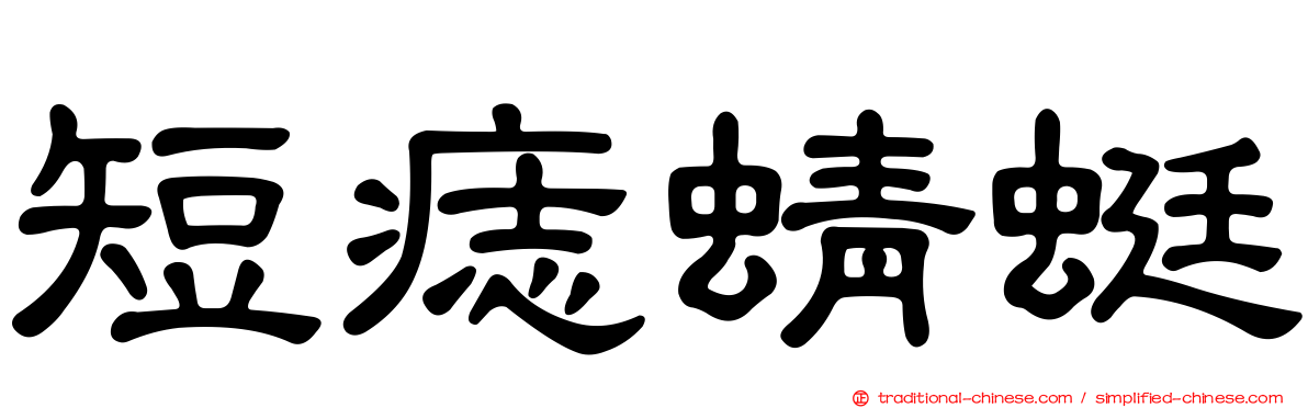 短痣蜻蜓