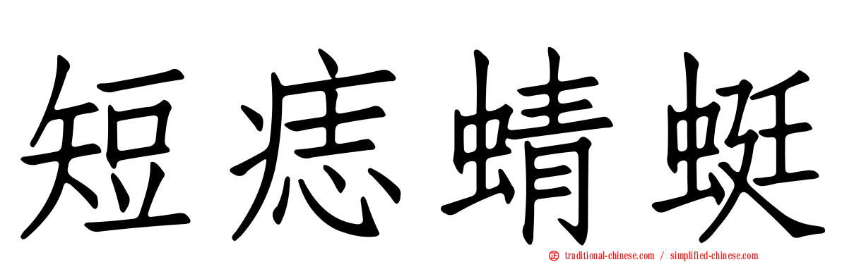 短痣蜻蜓