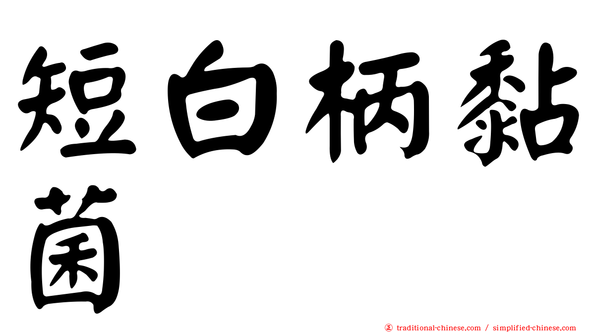 短白柄黏菌