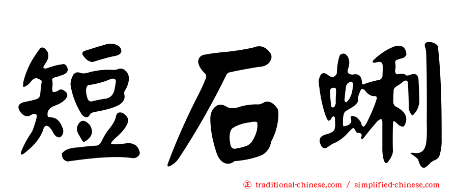 短石蜊