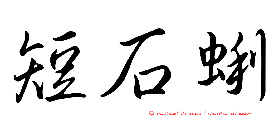 短石蜊