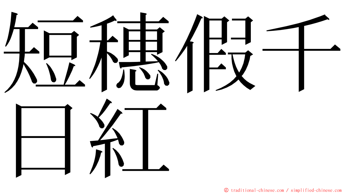 短穗假千日紅 ming font