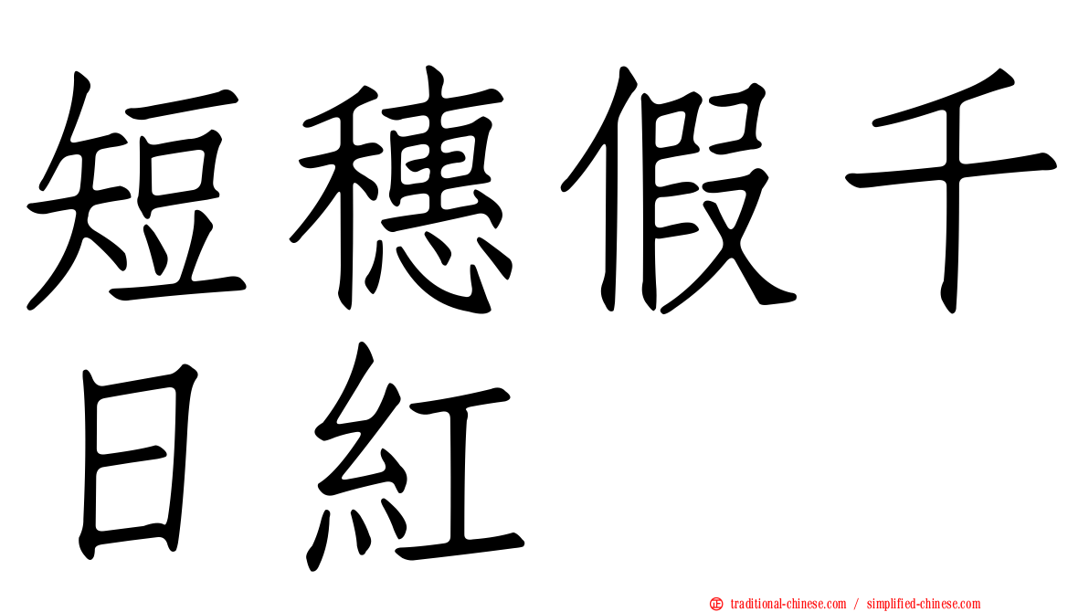 短穗假千日紅