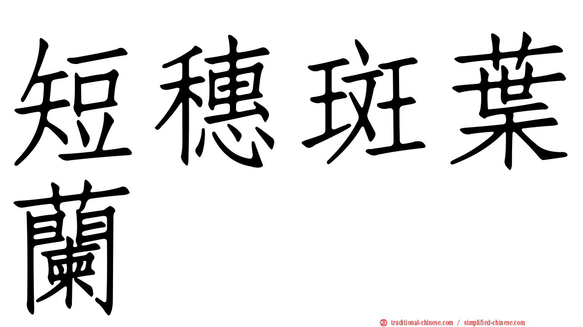 短穗斑葉蘭