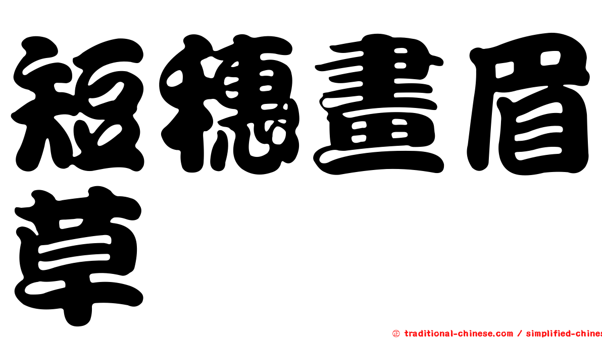 短穗畫眉草