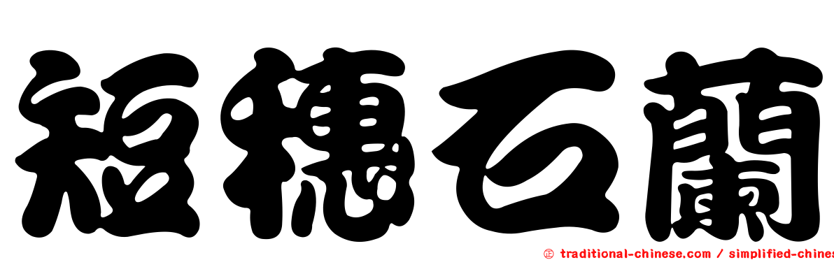 短穗石蘭
