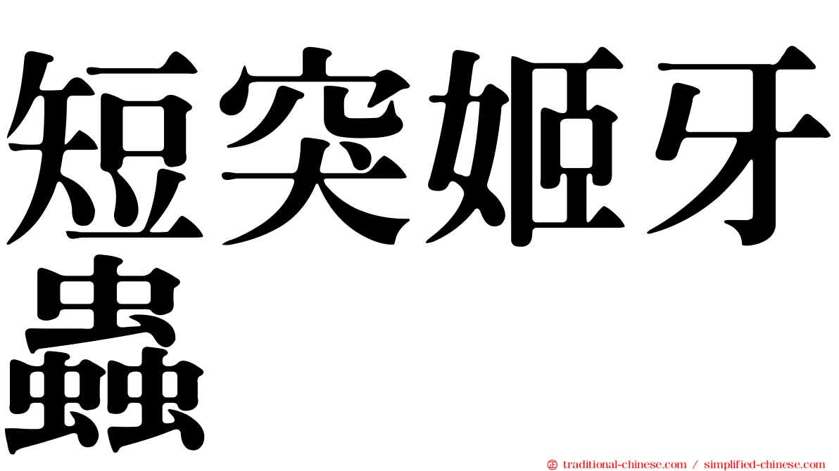 短突姬牙蟲