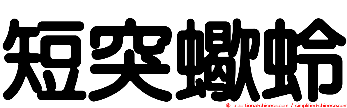 短突蠍蛉