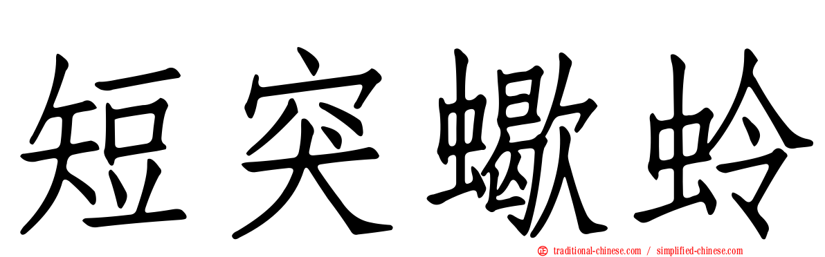 短突蠍蛉