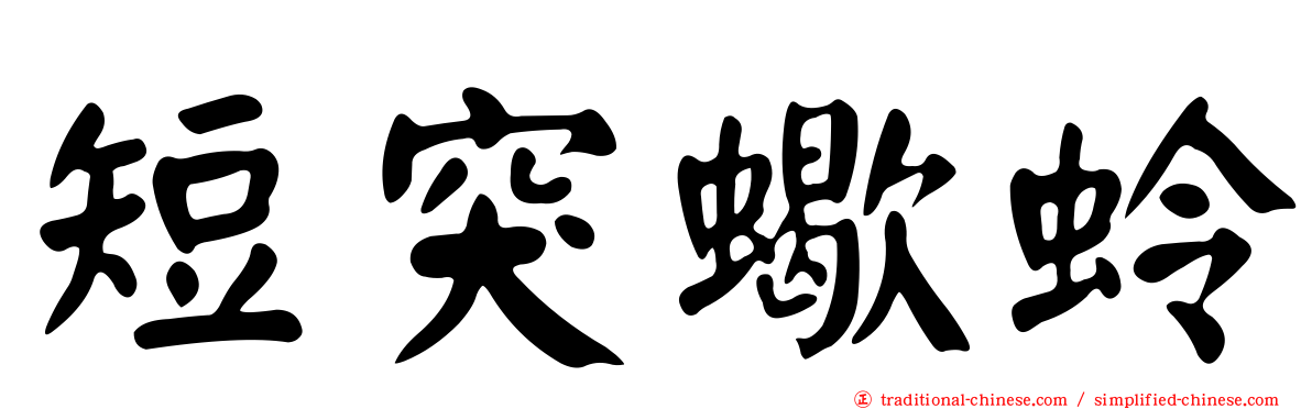 短突蠍蛉