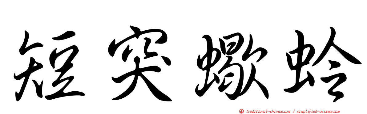 短突蠍蛉