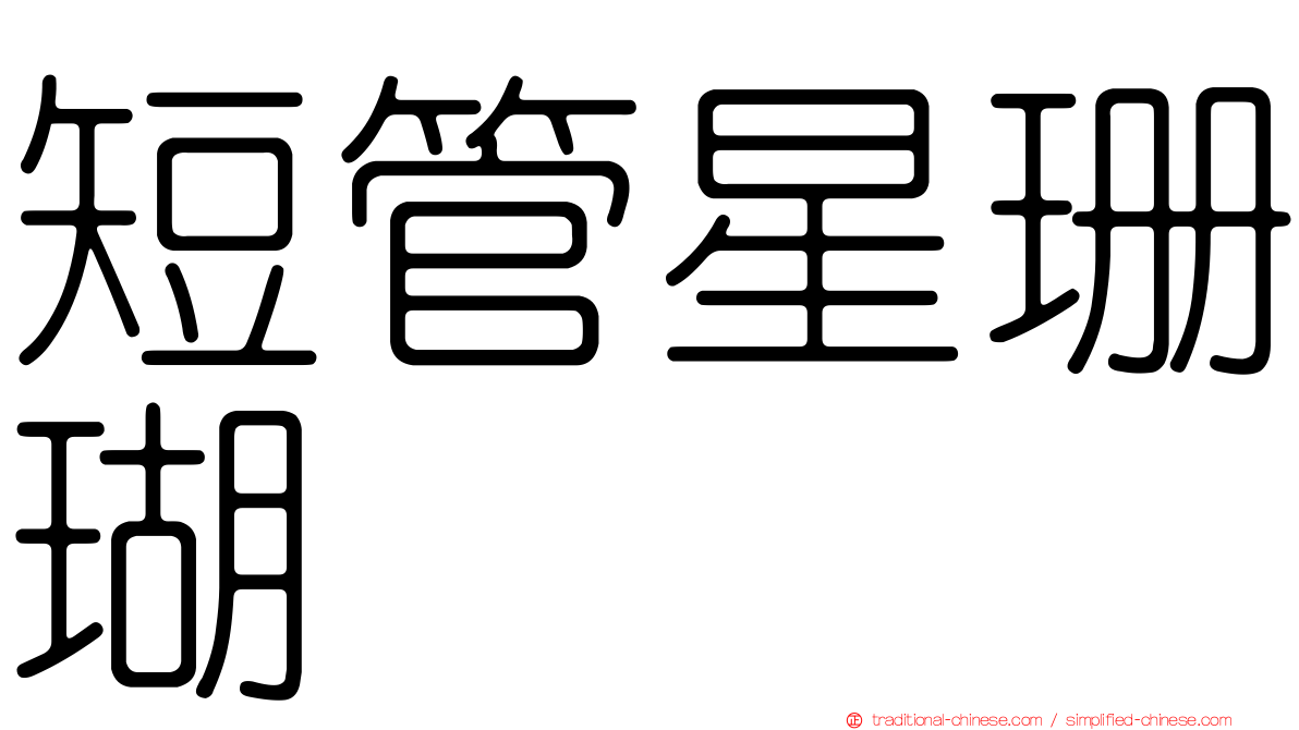 短管星珊瑚