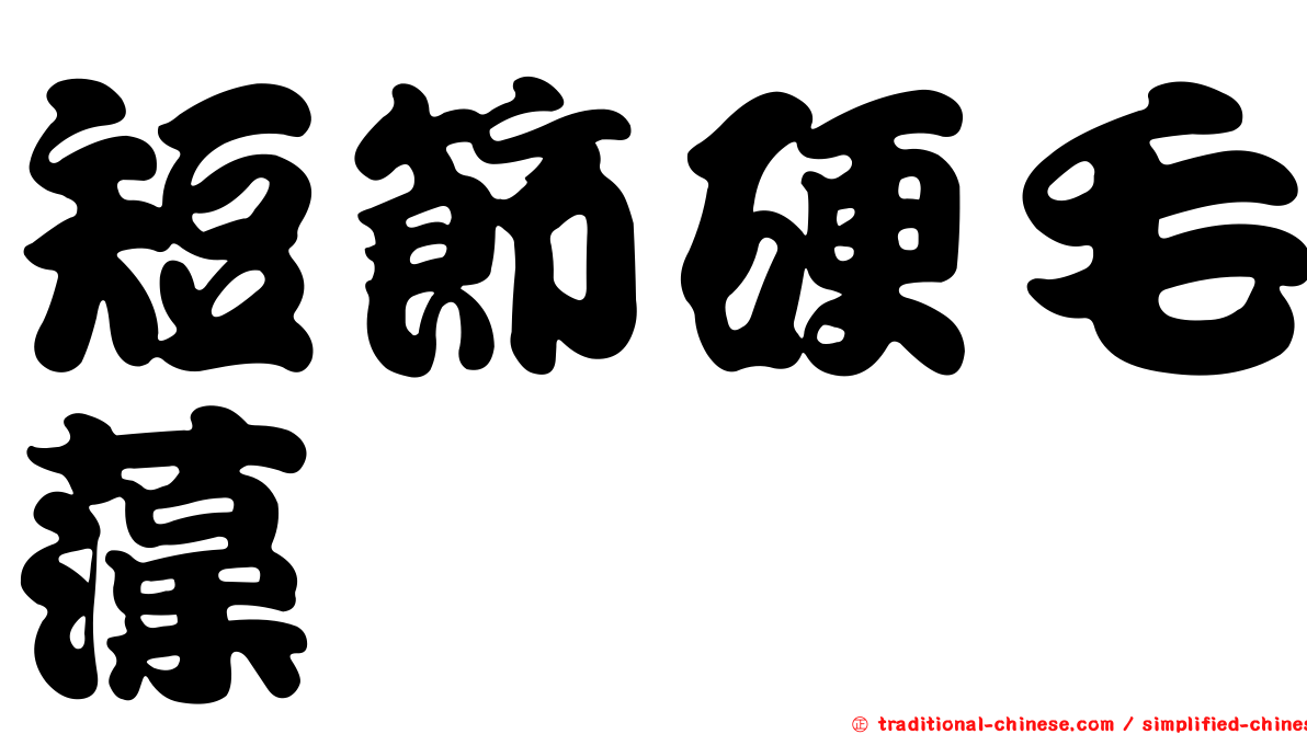 短節硬毛藻