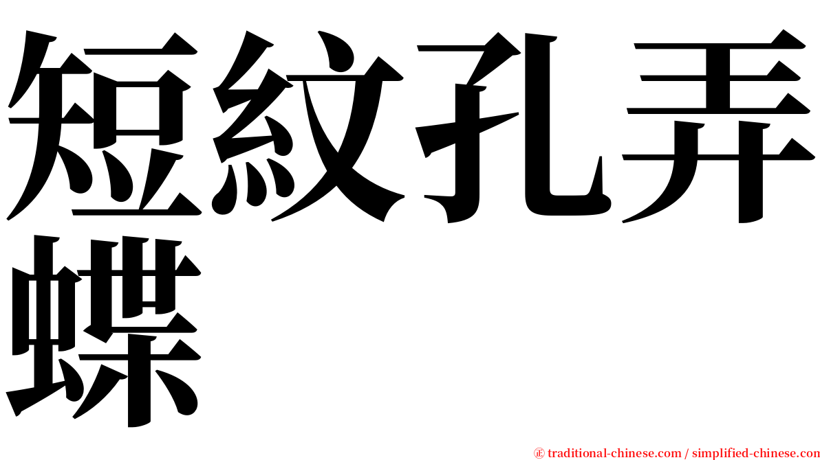 短紋孔弄蝶 serif font