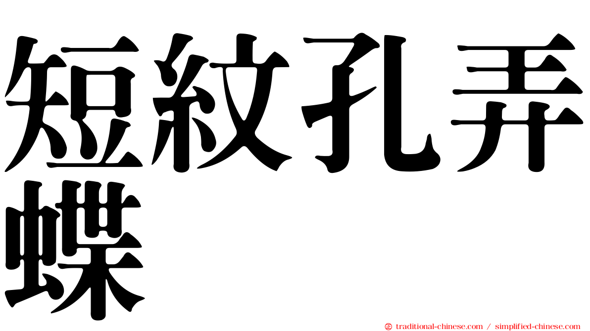 短紋孔弄蝶