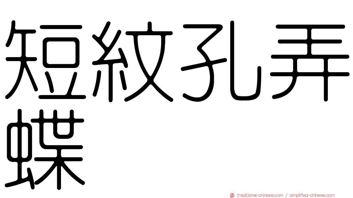 短紋孔弄蝶