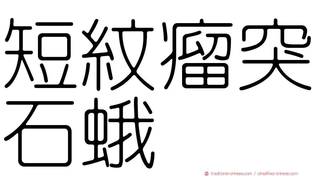 短紋瘤突石蛾