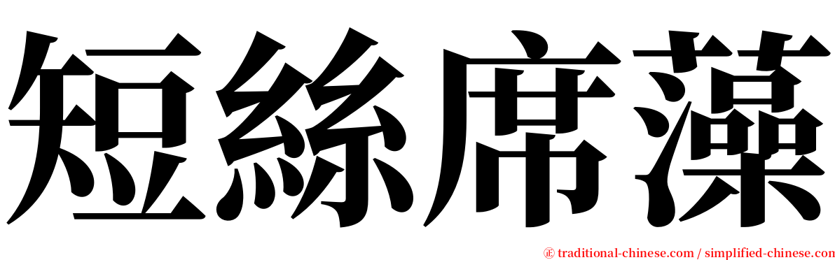 短絲席藻 serif font