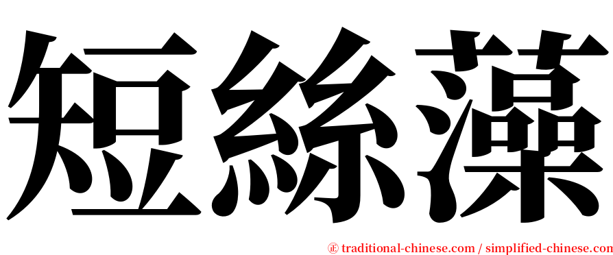 短絲藻 serif font