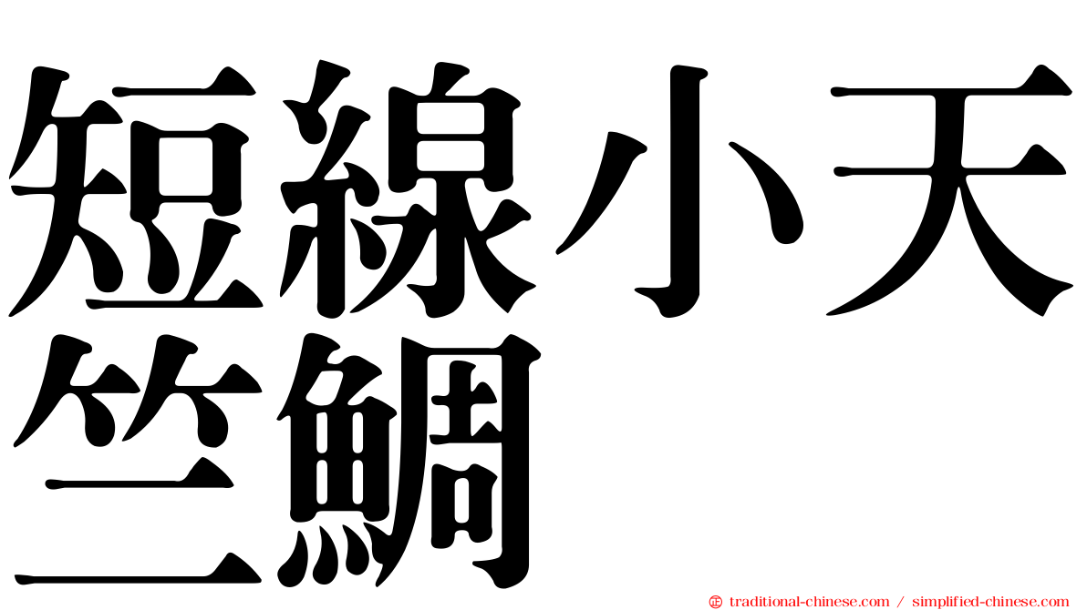 短線小天竺鯛