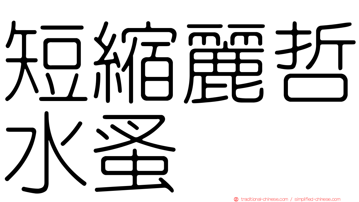 短縮麗哲水蚤