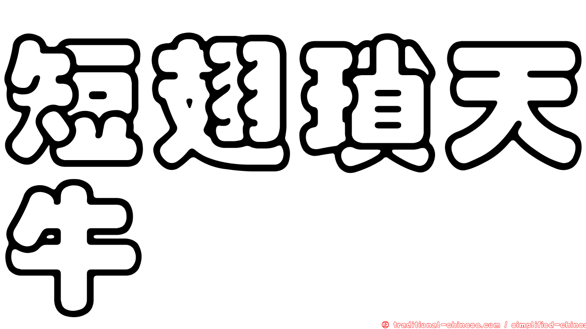 短翅瑣天牛