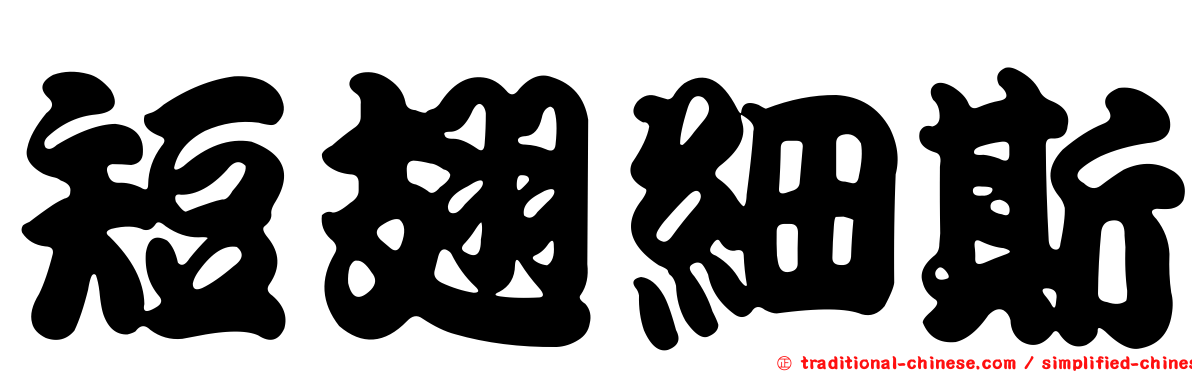 短翅細斯
