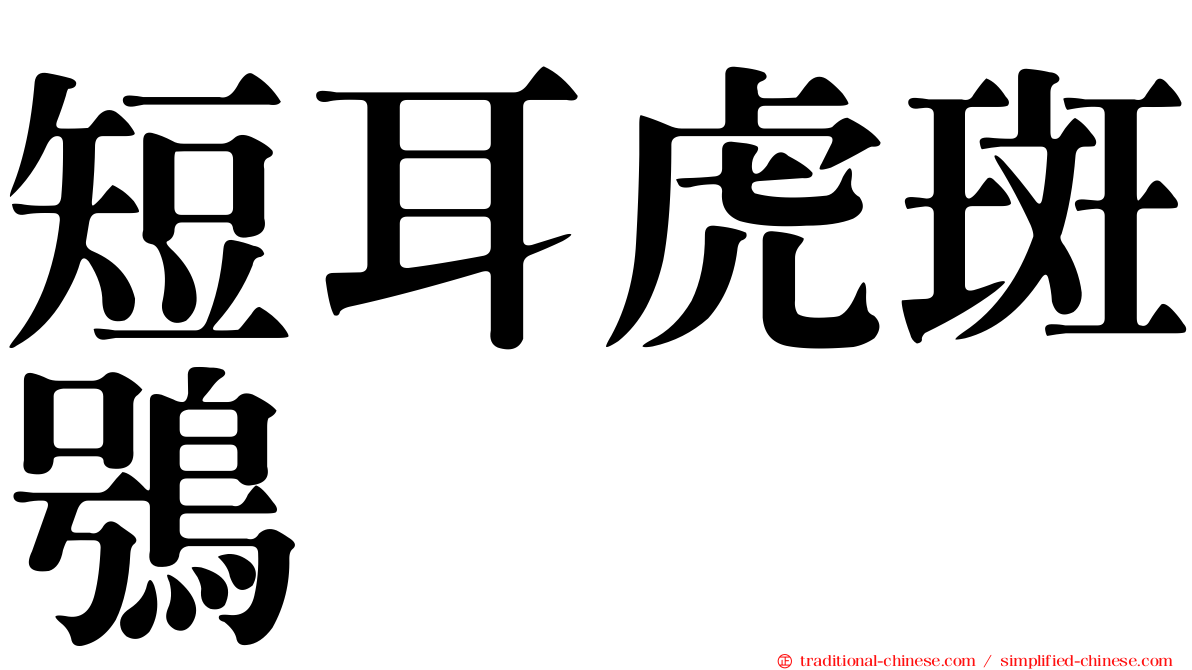 短耳虎斑鴞
