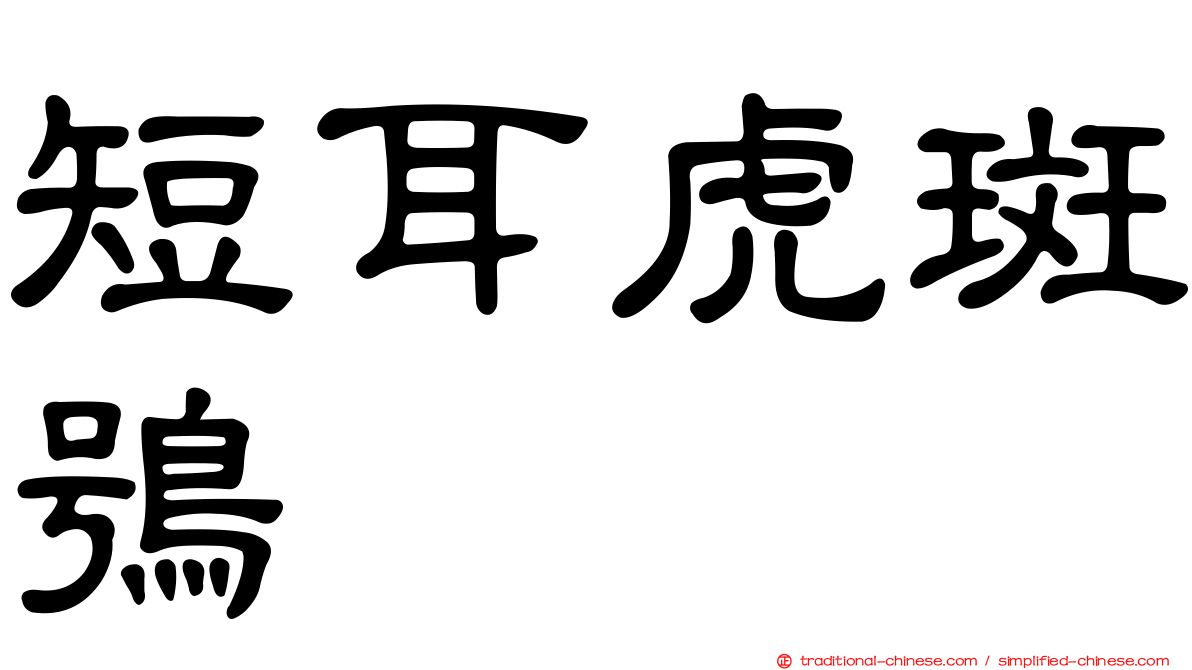 短耳虎斑鴞
