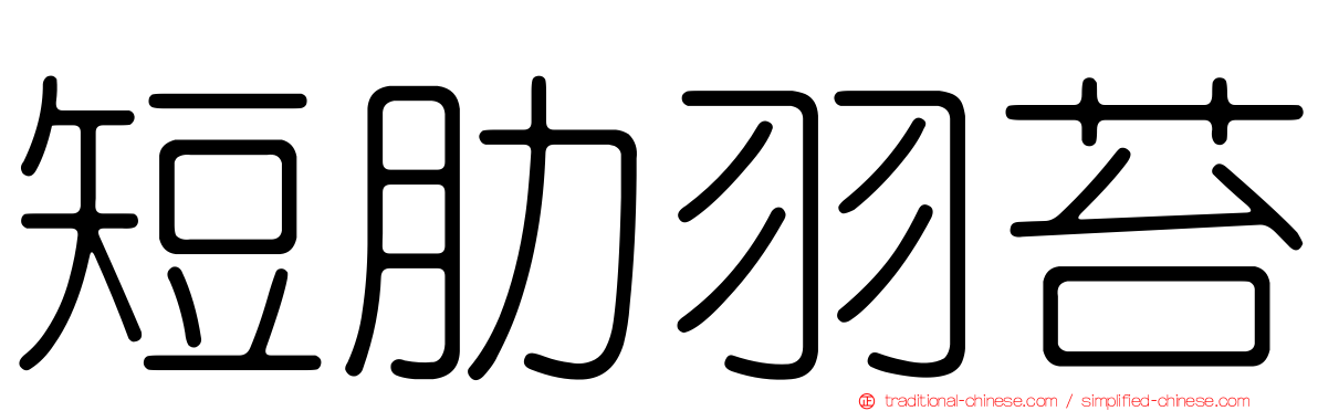 短肋羽苔