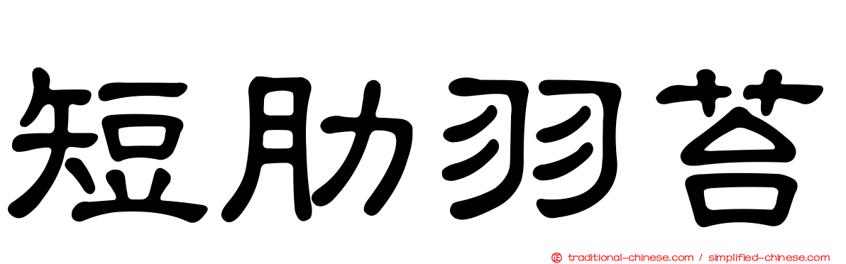 短肋羽苔