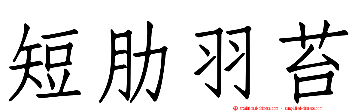 短肋羽苔