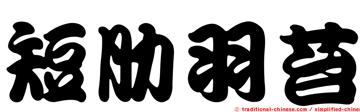 短肋羽苔