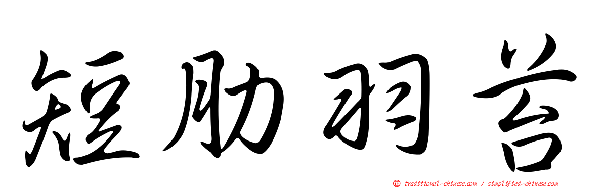 短肋羽苔
