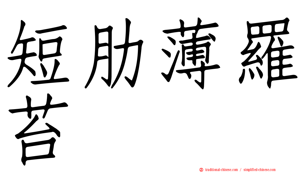 短肋薄羅苔