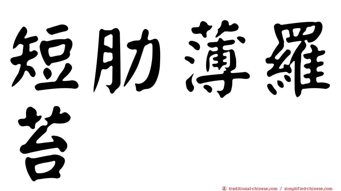 短肋薄羅苔