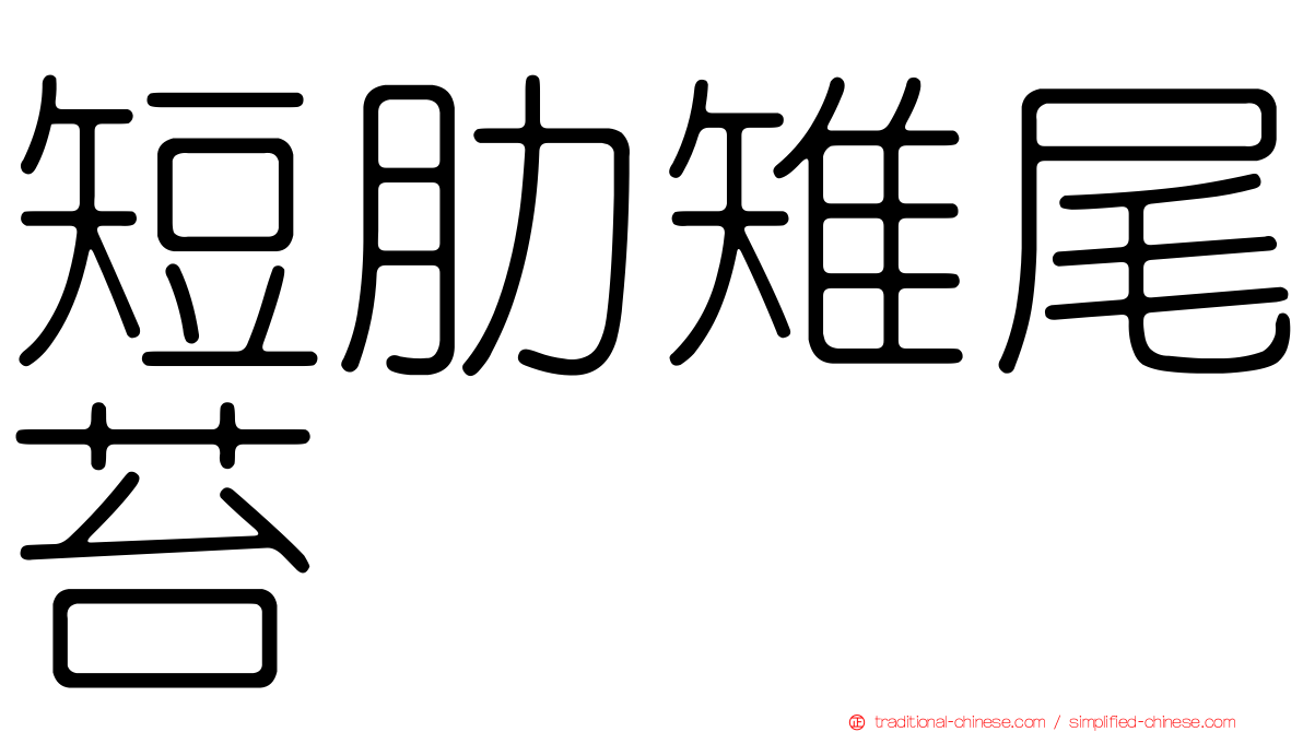 短肋雉尾苔