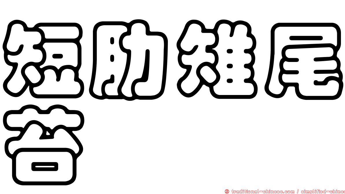短肋雉尾苔
